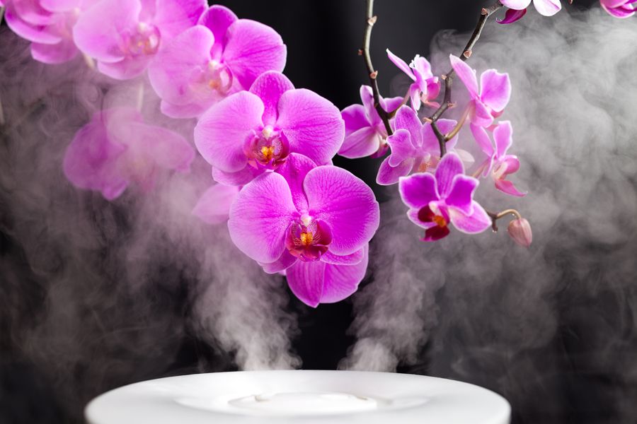 Image of a humidifier with flowers. Benefits of Using a Humidifier In Your Home.