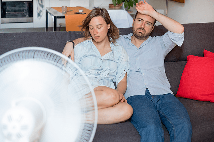How Can You Manage Your Home’s Humidity?